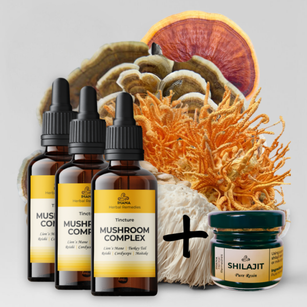 Medicinal mushroom tincture and shilajit resin bundle for energy immunity and focus – Ihana Herbal Remedies